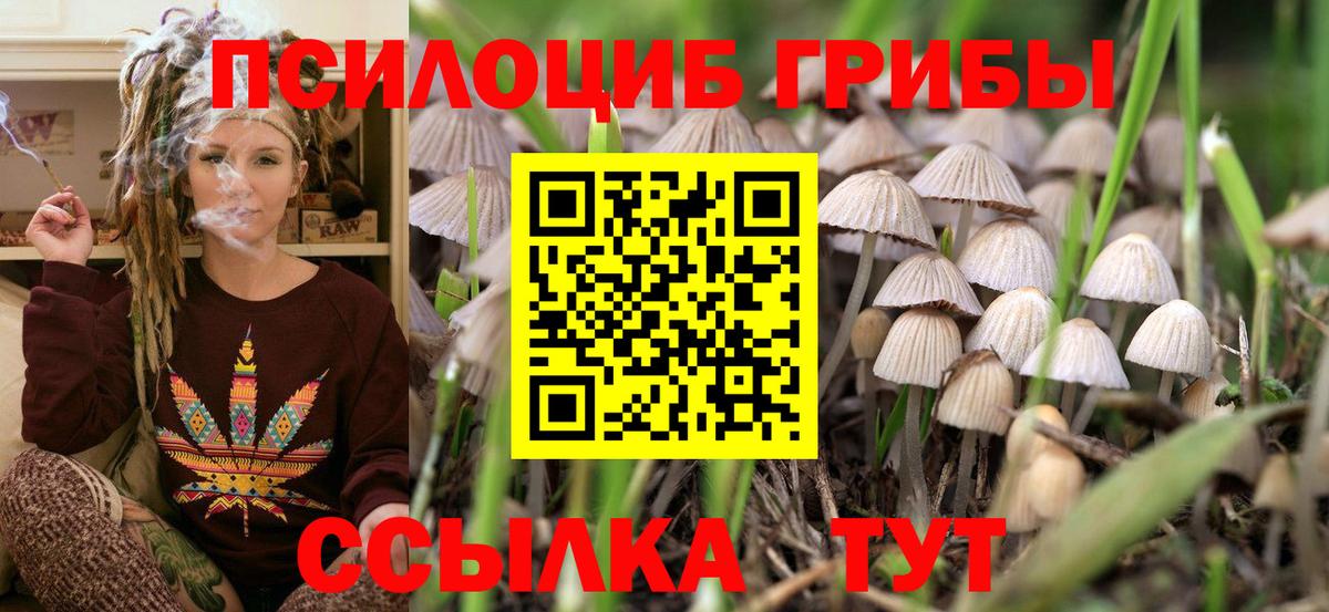 Псилоцибиновые грибы мухоморы Омск