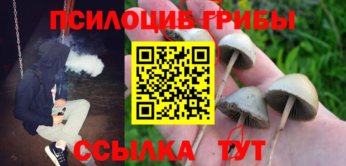 Омск  Псилоцибиновые грибы MAGIC MUSHROOMS  Вход с VPN 
